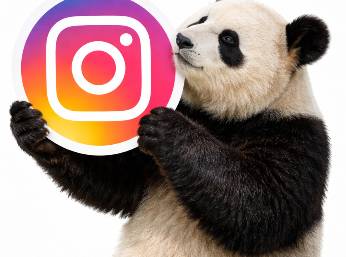 Instával a Google találatai közé? Új üzleti lehetőség social SEO-val